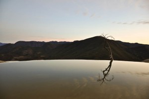 Lonely tree at the edge - Hierbe el Agua