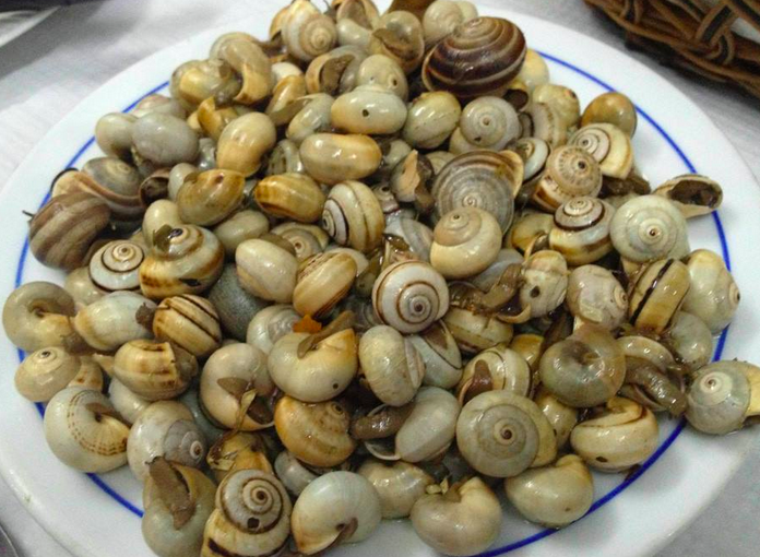 Buttery caracois (snails) at a tasca in Lisbon