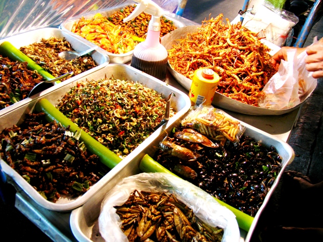 If I don't manage to negotiate down the price of these fried insects, I'll go hunt my own!