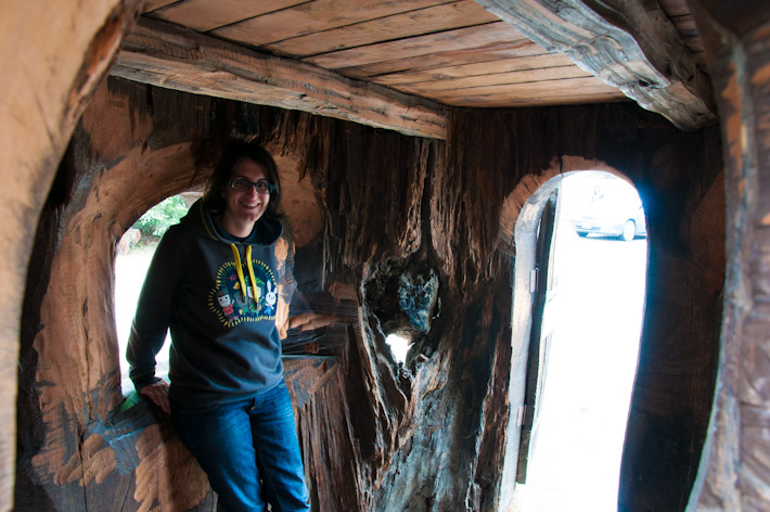 Inside a tree house - literally!