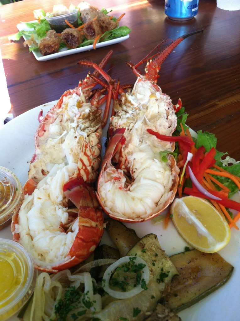 Langoustine from St. Martin