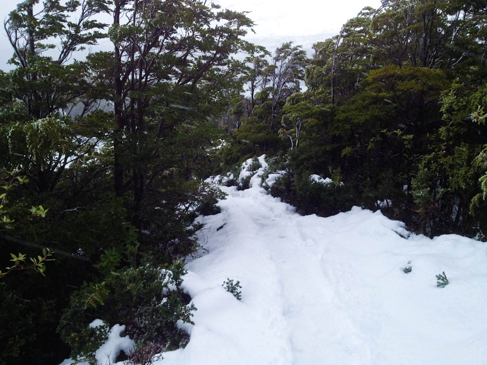 Trekking in Bernardo O'Higgins National Park - the path is snowed-in during winter season.