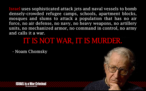 Noam Chomsky on the Israel-Palestine conflict