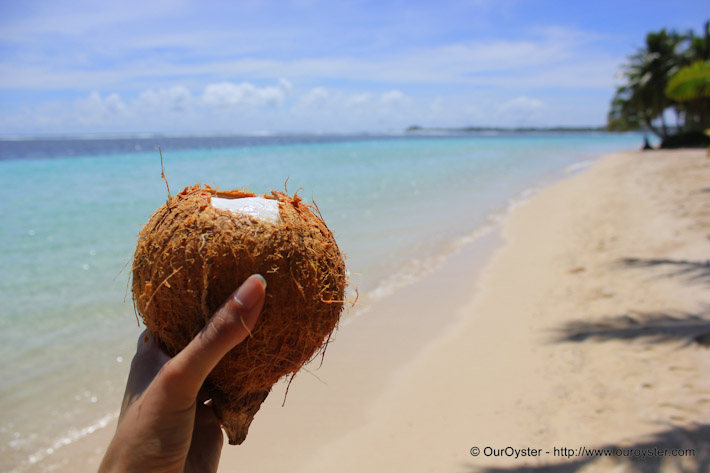 Fresh coconut at the beach in Samoa