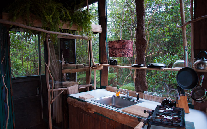 Treehouse kitchen and shower area