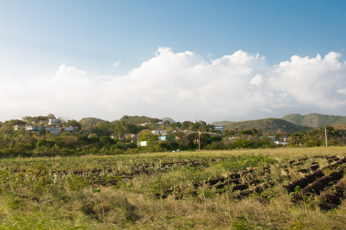 Landscape off the highway in the South of Puerto Rico