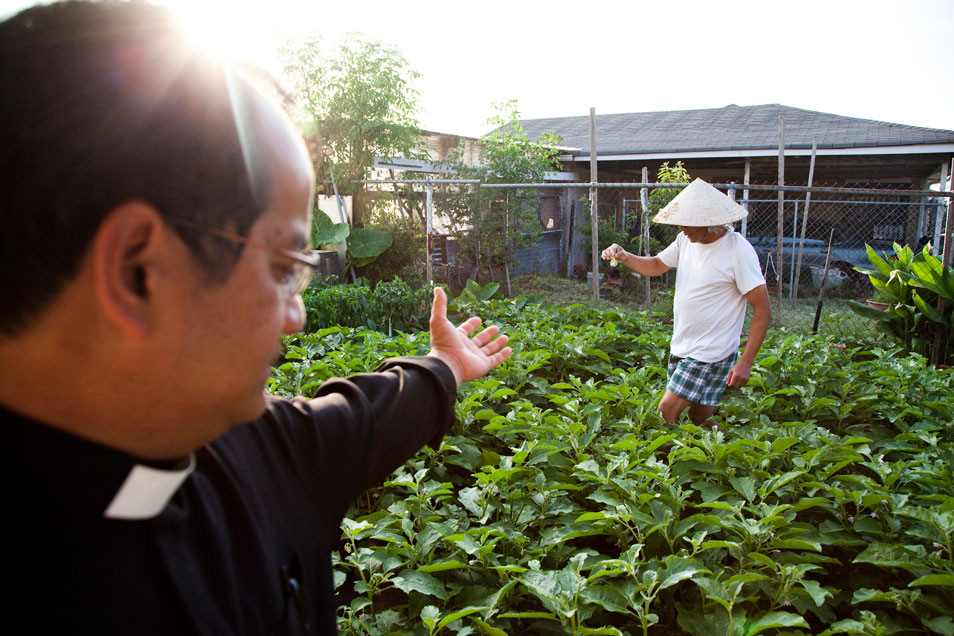 Urban Farming by the Vietnamese Community in New Orleans. Photo Source: http://bit.ly/1pv7Xif