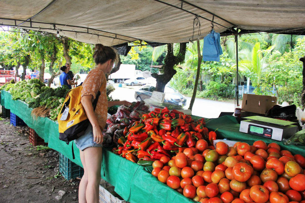 Charlie at a farmers market in Costa Rica