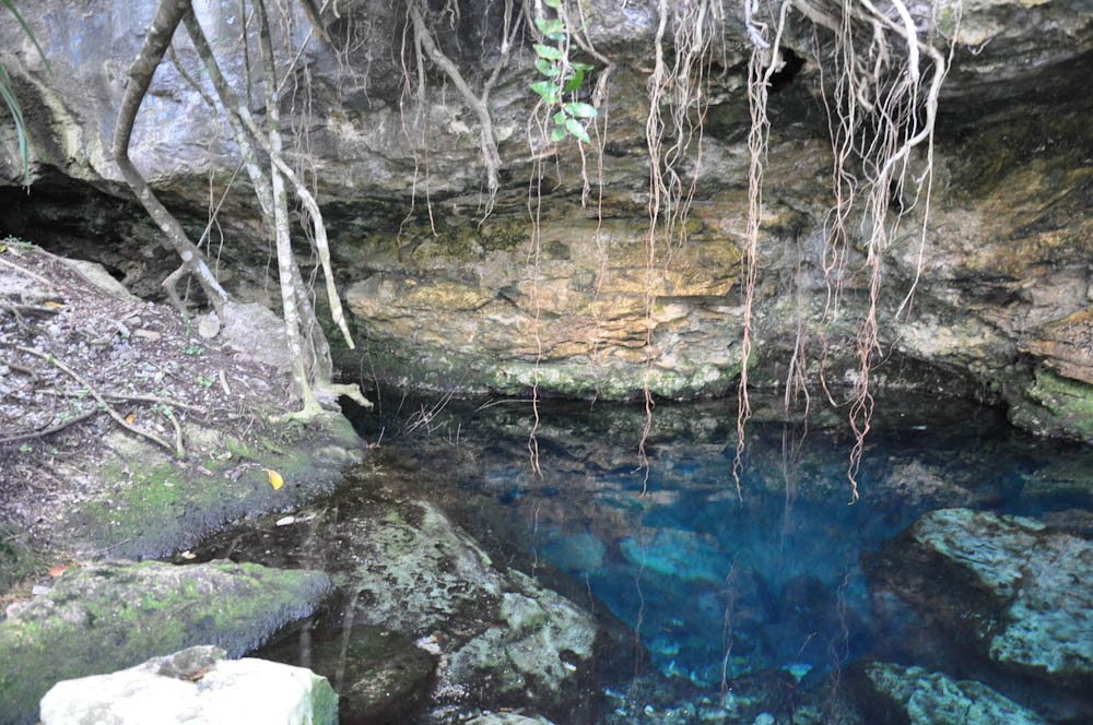 Cenote Cristalino, Yuacatan, Mexico