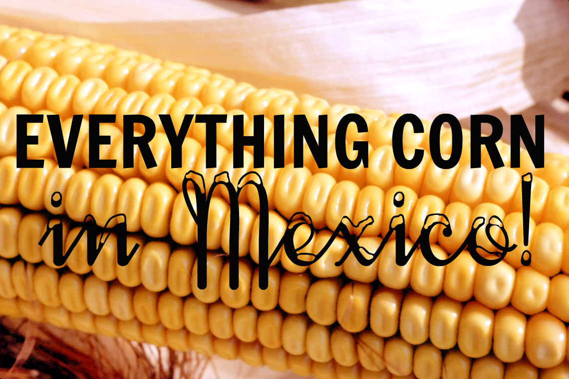 Corn Porn Everything Corn In Mexico  Backpack Me-3266