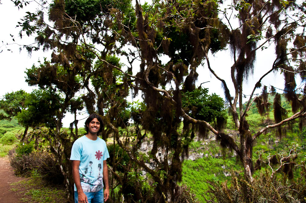 Island hopping the Galapagos part 4 4 Santa Cruz Highlands