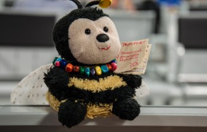 At the airport in Sao Paulo - our hub for the rest of Brazil!