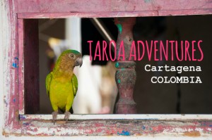 Taroa Adventures: eco-tourism company in Cartagena, Colombia