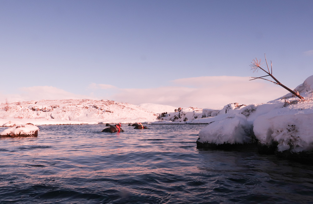 Snorkeling in Silfra's Continental Divide, Iceland